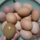 대한맥반석 이미지