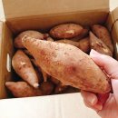 창바우농장 이미지