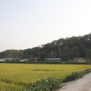 내산4리 이미지