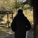 앵지밭골 이미지