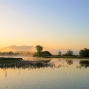 우포의 숲속 이미지