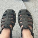 최 락 당 | 2024 펜타포트 락 페스티벌 일요일 후기