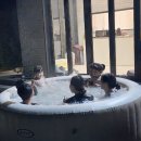 스테이481 이미지