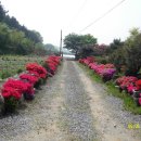 정우산부인과의원 이미지