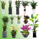 영전농장 이미지