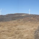 삼인목장 이미지