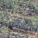 광산마을회관 이미지