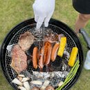 안면애견펜션프리독 이미지