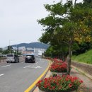 세구지5 이미지