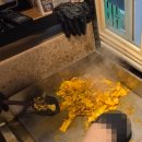 미나야채 이미지