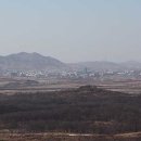 도라산식당 이미지