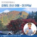 ㈜하나우등관광 | 프리미엄 우등버스 대절 강원도 전선 마지막날 관광