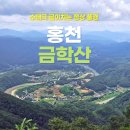 해주가든 | 홍천 금학산 등산, 한여름 찜통더위 뚫고 다녀온 수태극 최단코스 후기