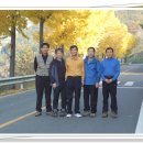 왕성길농장 네이버블로그