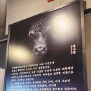 육시락검단신도시아라점 | 인천검단신도시맛집 육시락 검단신도시아라점