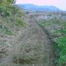 금강변길 이미지