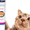 (주)멀티테크 이미지