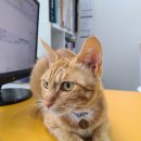 율곡동물병원 이미지