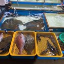 상진수산 이미지