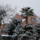 제주곶자왈별장 이미지