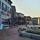 추암오토캠핑장 이미지