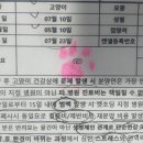 캣초딩 고양이분양 김포구래점 | [내돈내분양] 김포 캣초딩 아비시니안 분양 후기