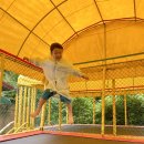 광릉한과