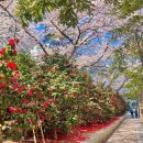 운촌어린이공원 앞 이미지