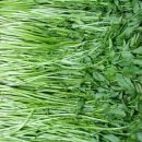 한골농장 이미지