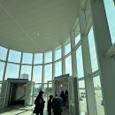 시카고짐(CHICAGO GYM) | ✈️ 대한항공 KE037 타고 인천 → 시카고 직항 후기 (내돈내산)