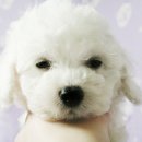 몽글몽글 이미지