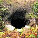 초촌리 고분군 이미지