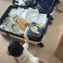 포유푸드 창성시트 | 감자 제주 가다 - 1 (8개월 아기랑 제주도, 포도호텔 양실 트윈룸)