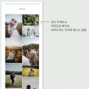 스토리 있는 커스텀 RSVP 모바일 청첩장 추천 온레터 내돈내산 후기