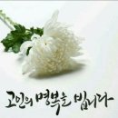 삼식이품바 아프지않은곳에서 영면하시길~~ 이미지