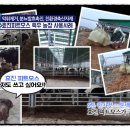 효진축산 이미지
