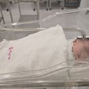 기쁜우리 | 우리기쁜산부인과 제왕절개 출산 후기🎈