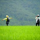 KBS 1박 2일팀도 다녀간 지리산 숲길(둘레길)속으로... 이미지