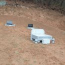 늘푸른장 이미지