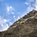 돌산가축 이미지