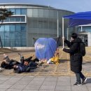 해일현수막