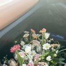 사파동201 이미지