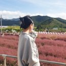 테리로제떡볶이&닭강정하남점 | 이솔' ☕️ / 수완지구 술집 '사랑각' / 수완지구 술집 '룸이야' / 수완지구 맛집 '란스토' / 태리로제떡볶이