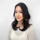 토리헤어 네이버블로그