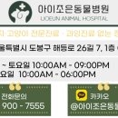 아이조은동물병원 이미지