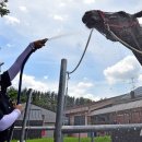 대덕가축 이미지