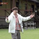 봉참치 | [인천 구월동] 구월아시아드 봉참치 오마카세 룸맛집 내돈내산 후기