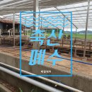 정수축산 이미지