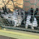 태형목장 이미지