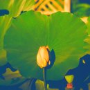 청명연합이비인후과의원 이미지